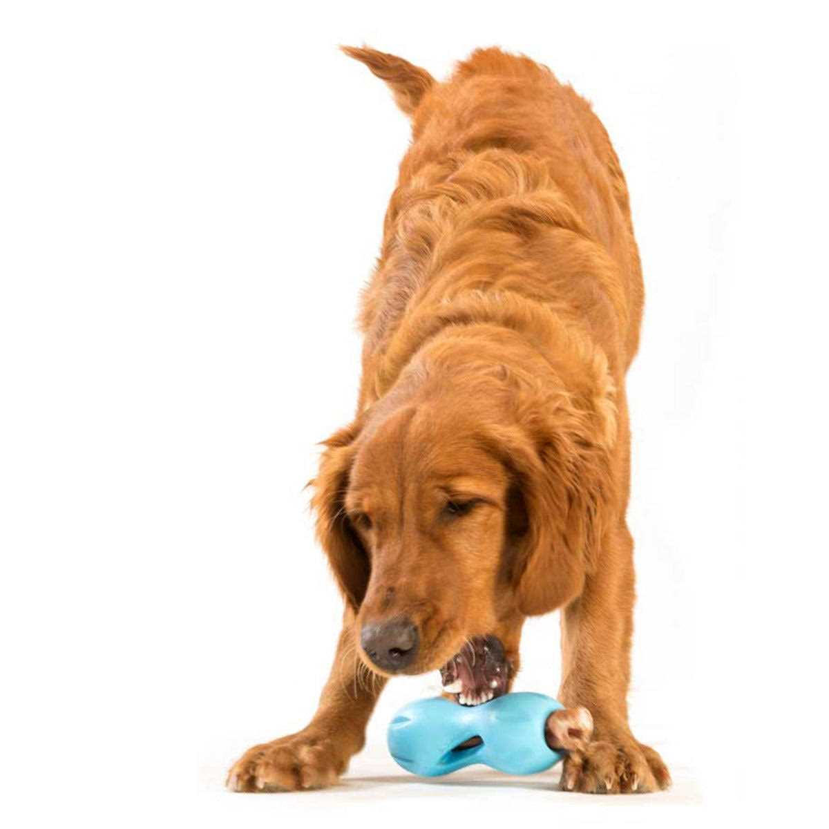 Dog Toy K11892