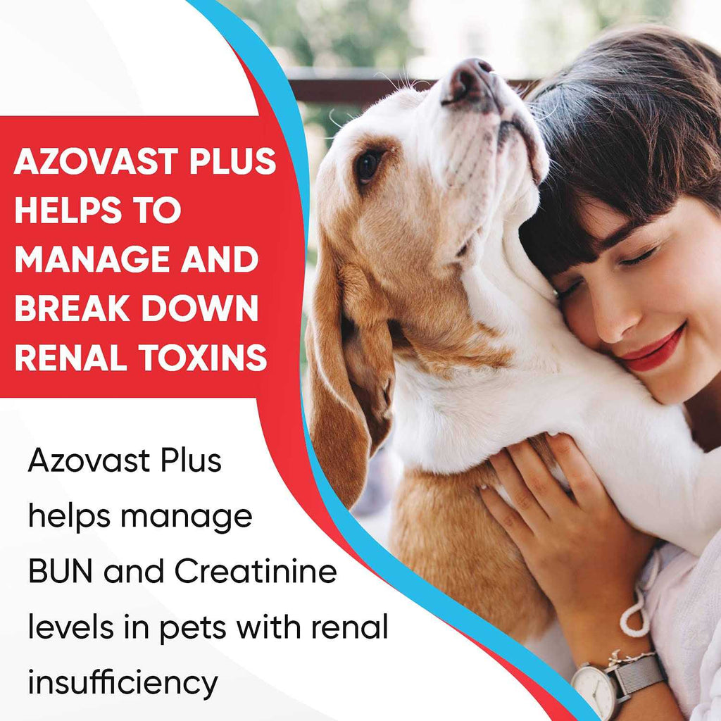 Kidney Health Supplement for Dogs & Cats O712