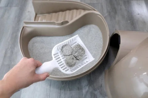 Enclosed Cat Litter Box C388783