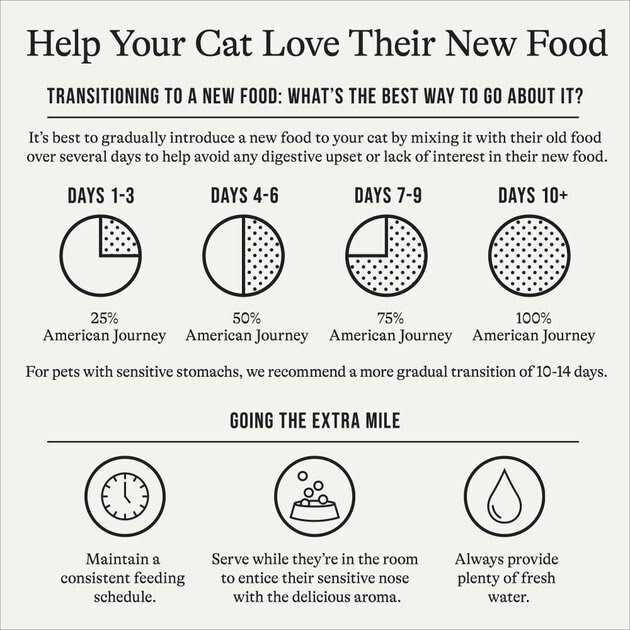 Salmon Grain-Free Dry Cat Food N297
