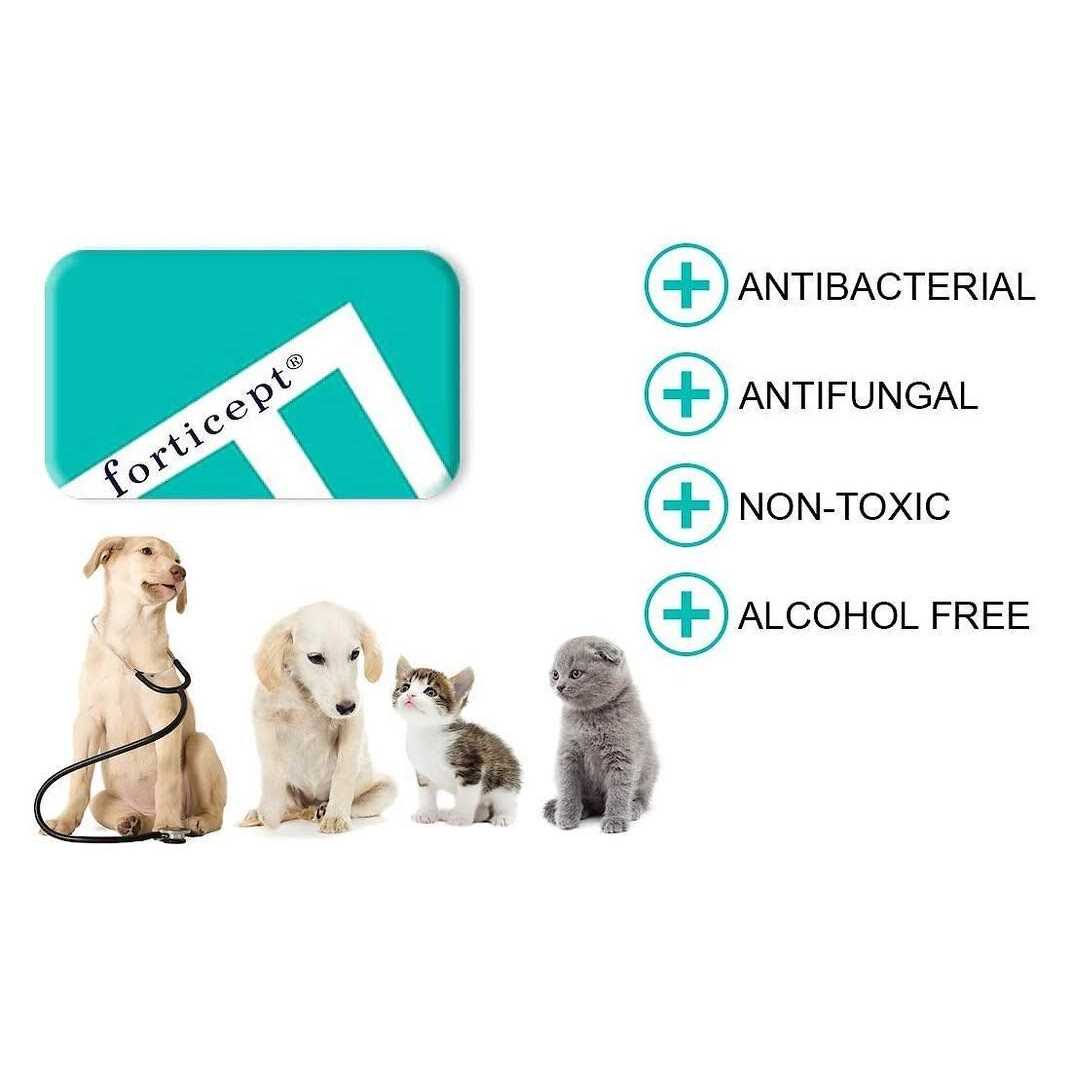 Blue Hot Spot Treatment for Dogs & Cats H533932