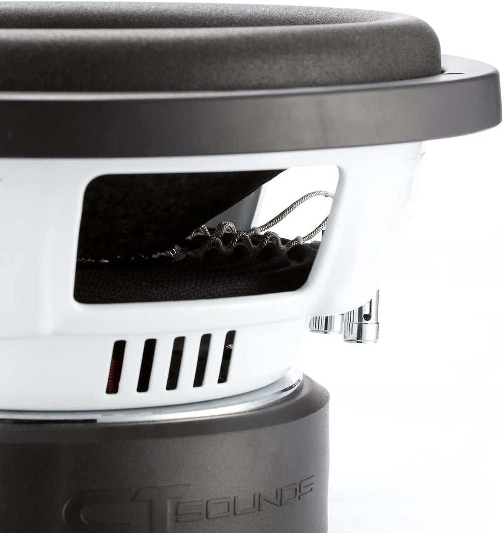 10 Inch Car Subwoofer Dual 2 Ohm A37642