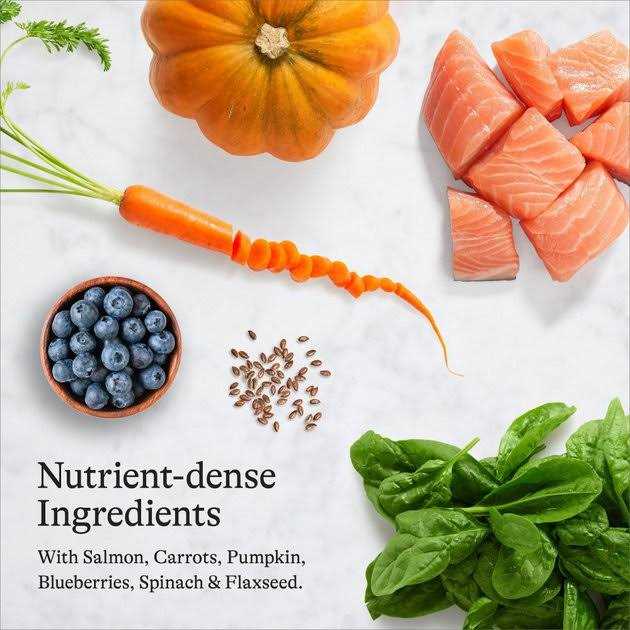 Salmon Grain-Free Dry Cat Food N297