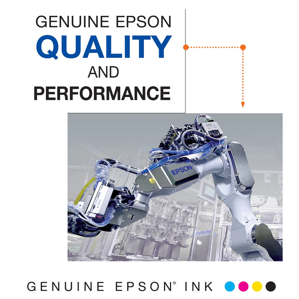 EPSON 202 Claria Ink Standard Capacity Black & Color Cartridge Combo Pack C836195