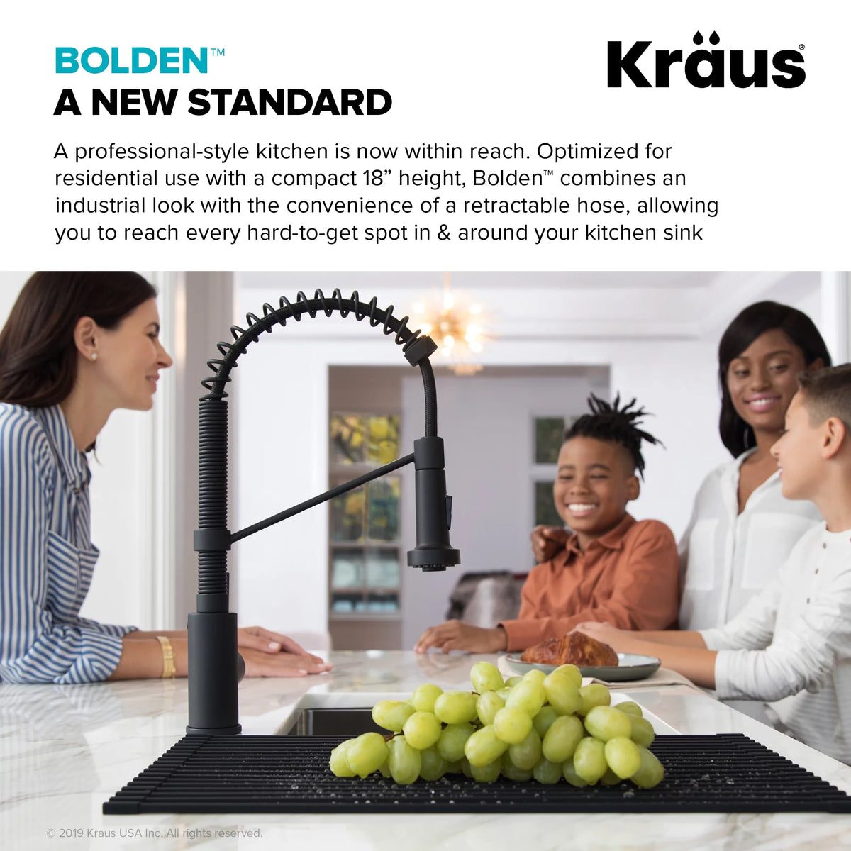 Single Handle Pull Down Kitchen Faucet Stainless Steel T65847