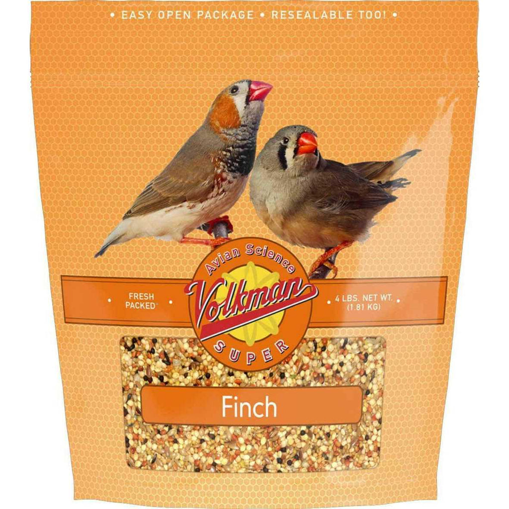 Finch Food B448997