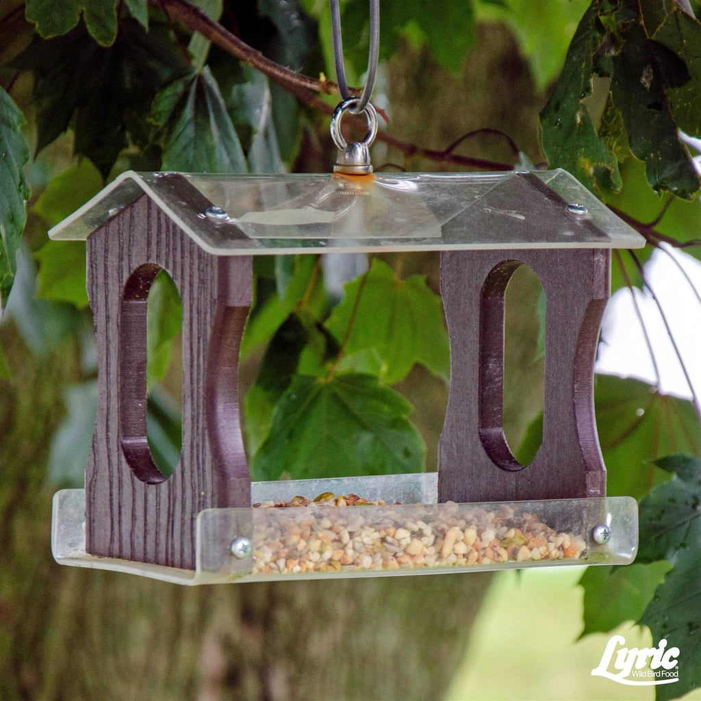 Wild Bird Food K71747