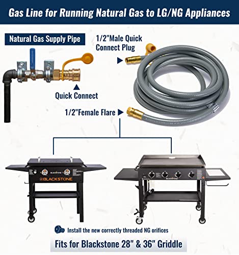 Propane to Natural Gas Conversion Kit G13487