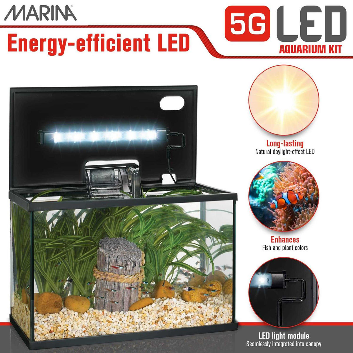 LED Glass Aquarium Kit H879579