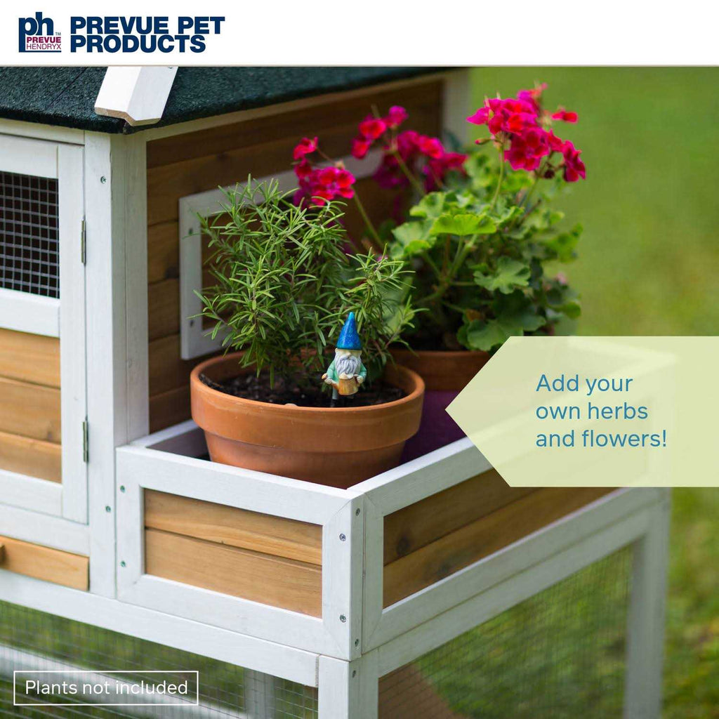 Chicken Coop with Herb Planter S2507