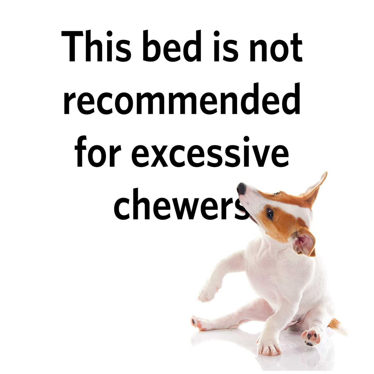 Paw Print Reversible Bed K585309
