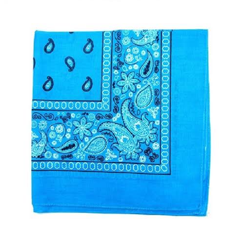 240 Paisley 100% Cotton Double Sided Bandanas I522858