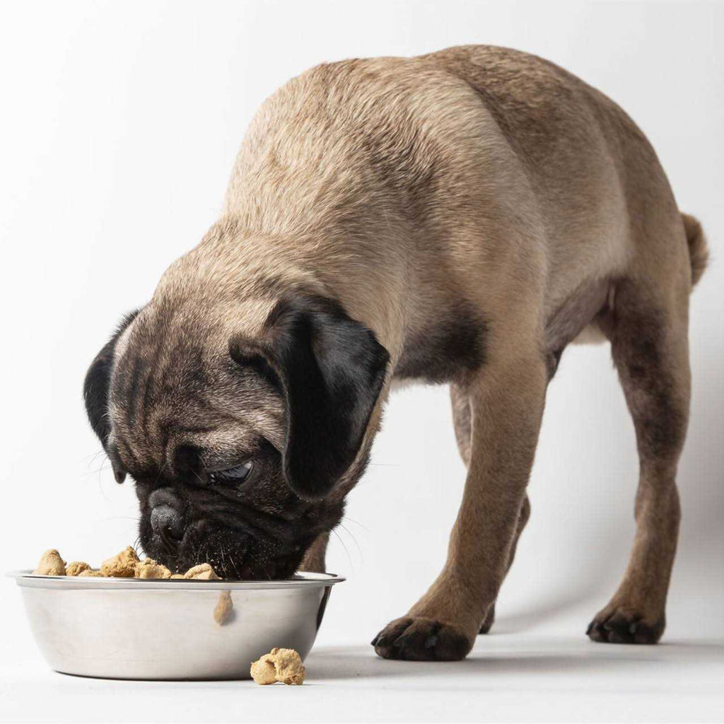 Freeze Dried Raw Nature's Blend Small Breed Dog Food X629