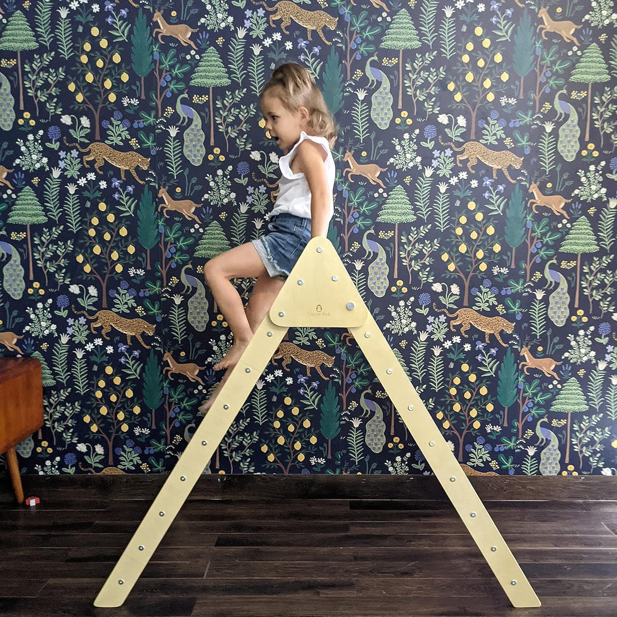 Jumbo Rainbow Foldable Climbing Triangle Y508174