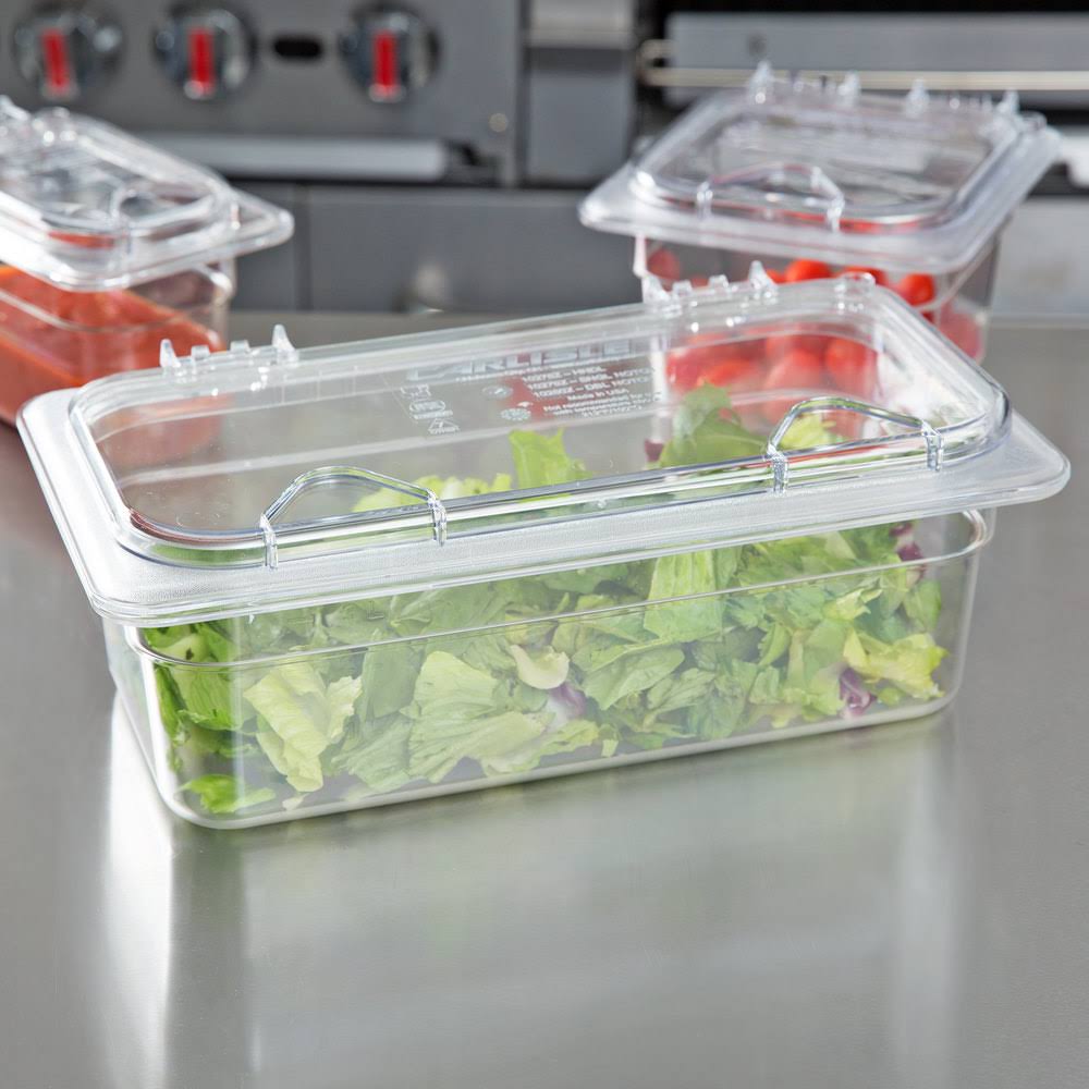 Clear Polycarbonate Hinged Lid with Two Handles J7871