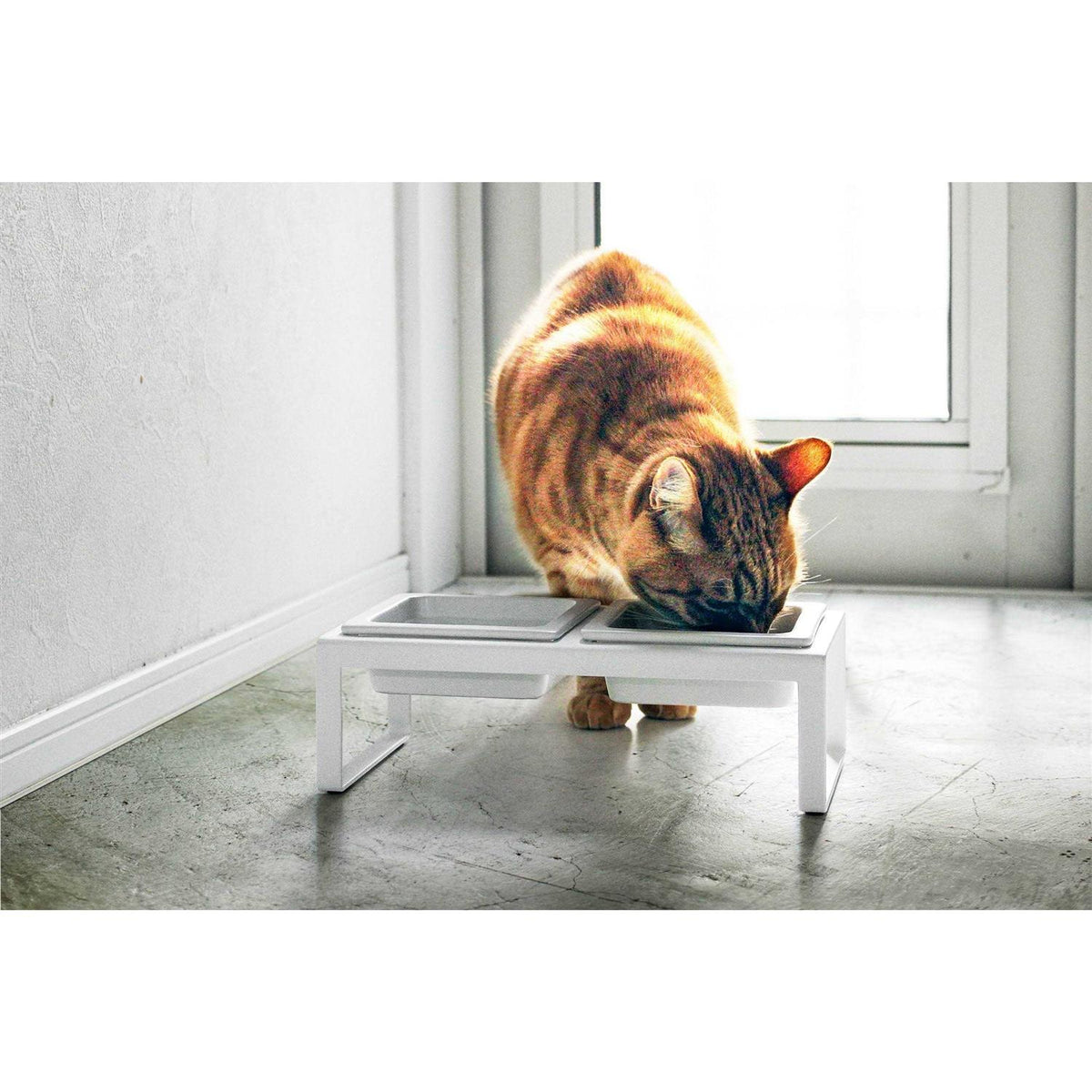 Pet Food Bowl S20674
