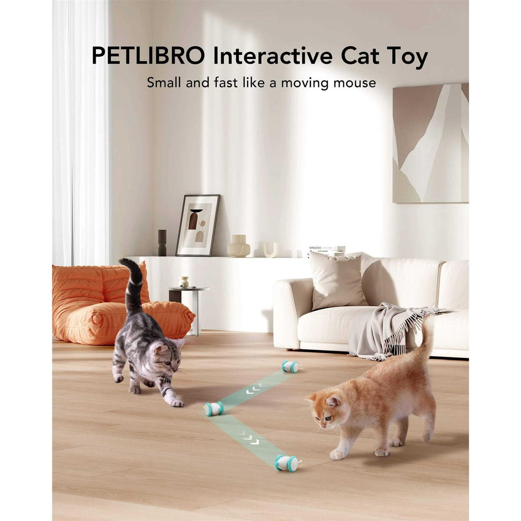 Interactive Cat Toys with LED Lights J403