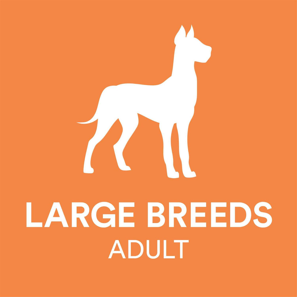 Chicken & Brown Rice Recipe Dry Dog Food P527