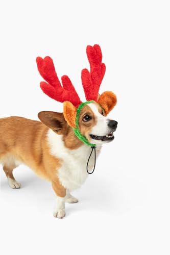 Christmas Reindeer Antlers with Ears for Large Dogs K911483