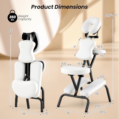 White Portable Massage Chair with Carrying Bag F596