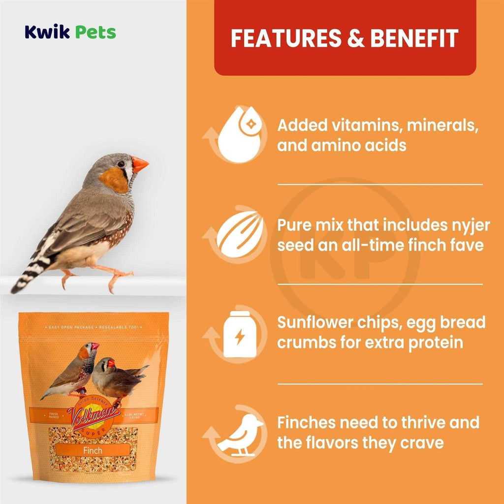Finch Food B448997