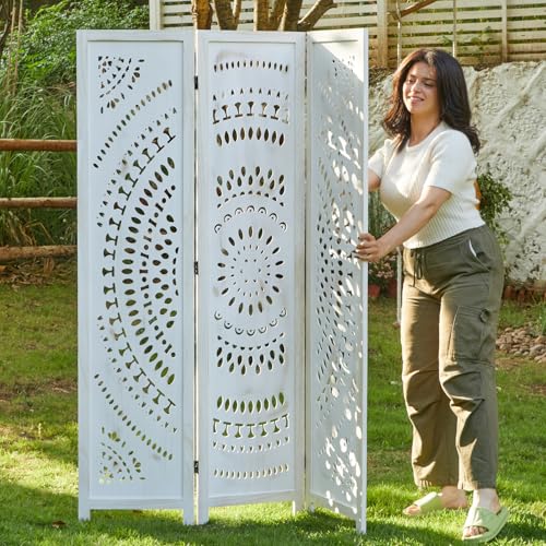 Wood Carved Folding Room Divider Screen 6 Panels D356