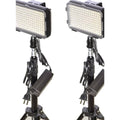 Bi-Color LED On-Camera 2-Light Kit with Stands and AC Adapters E480