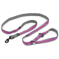 Dog Leash D1999