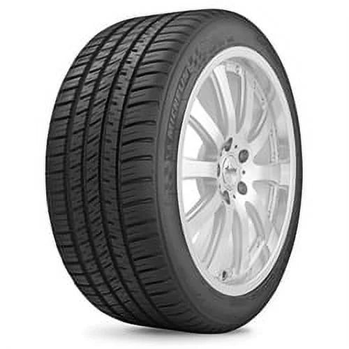 All-Season Tire W452119