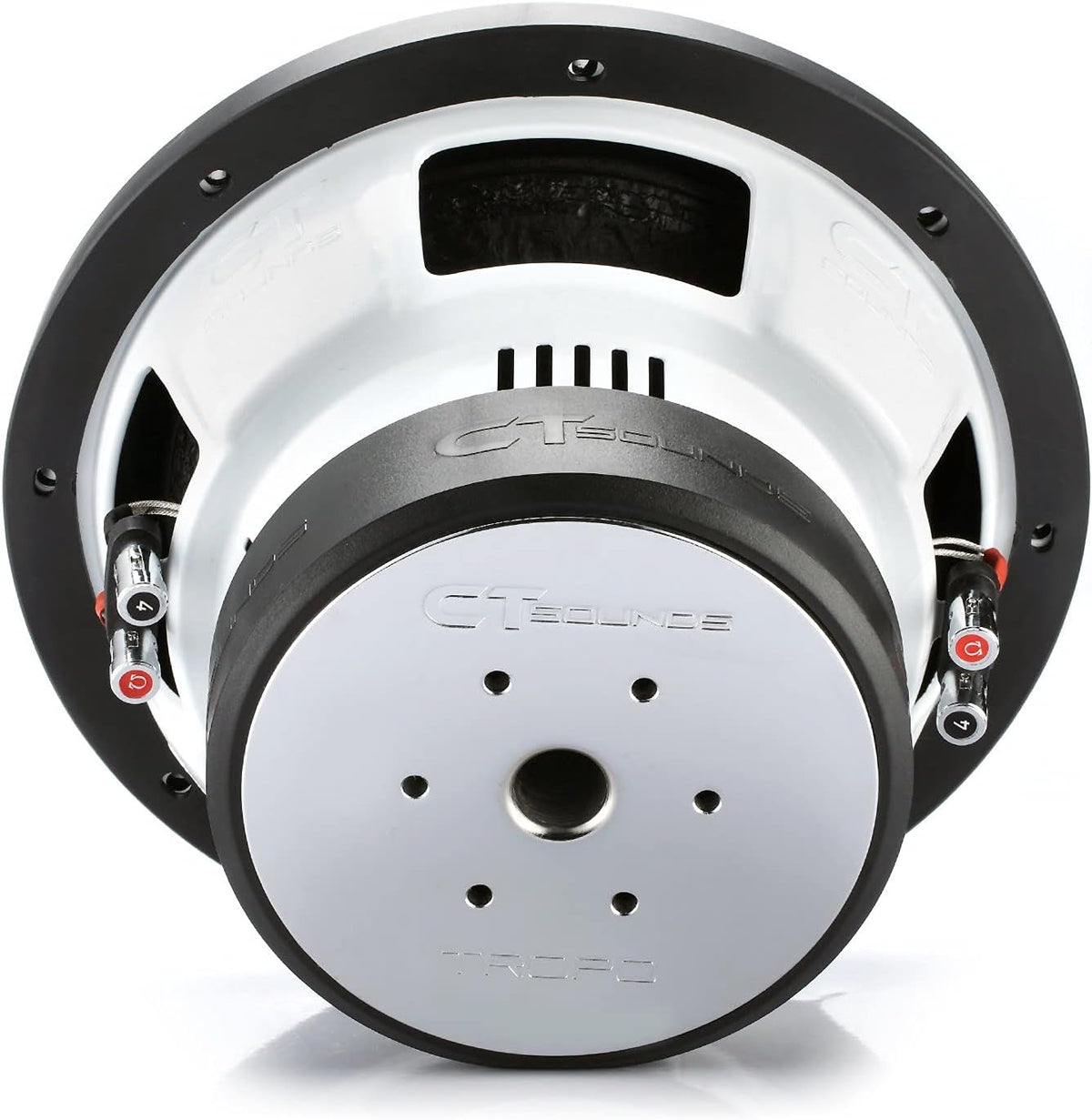 10 Inch Car Subwoofer Dual 2 Ohm A37642