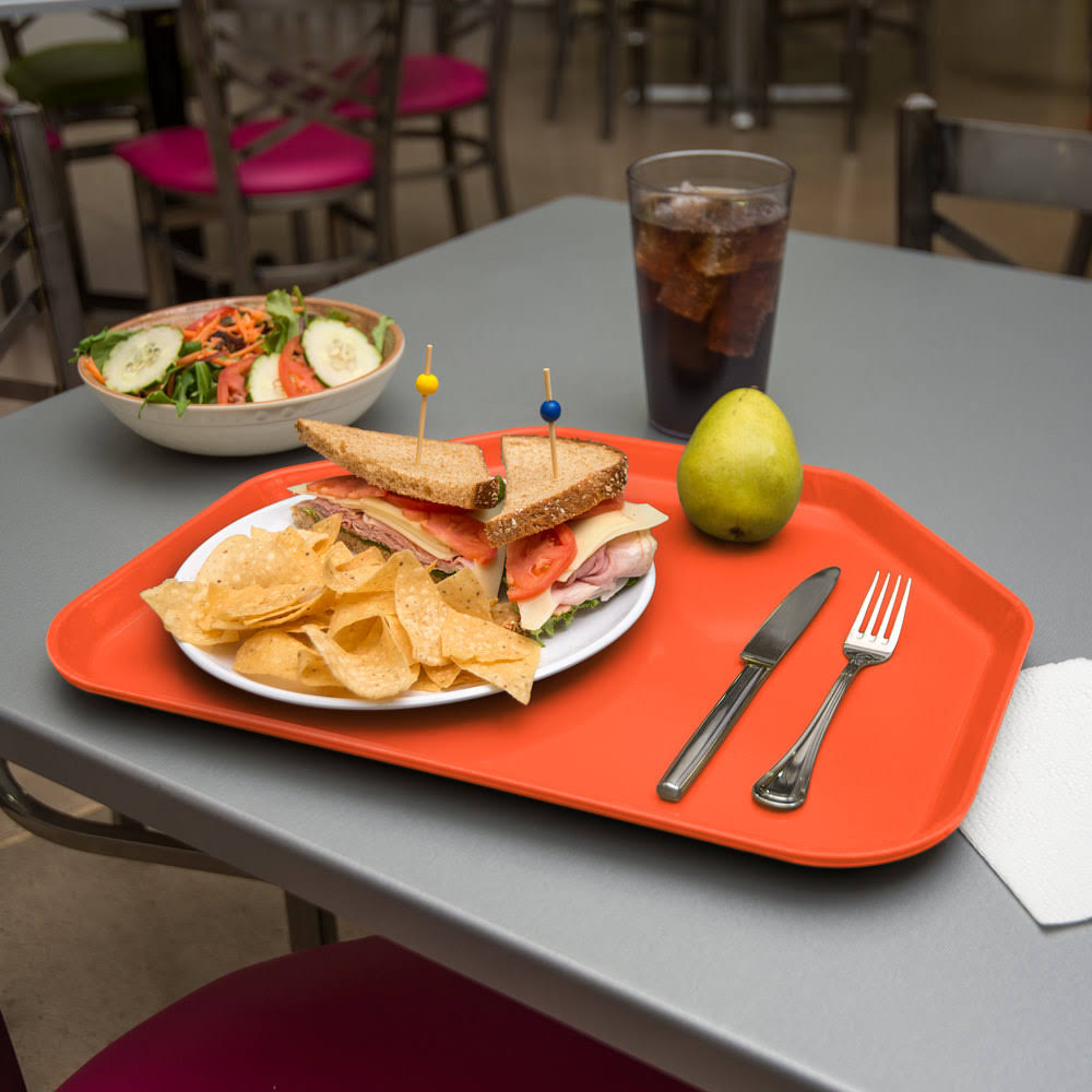 Orange Fiberglass Tray L5558