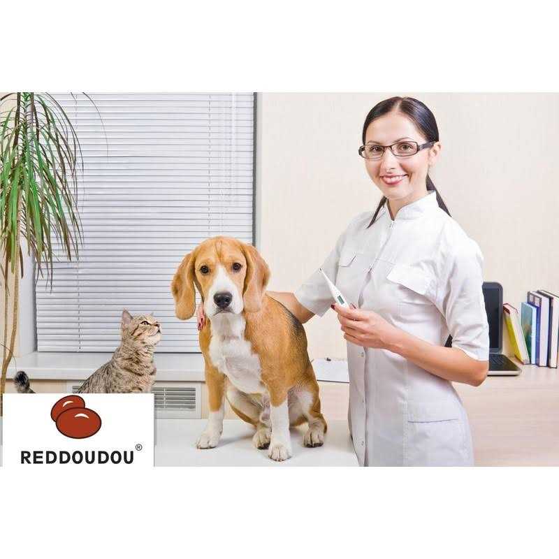 Waterproof Digital Pet Thermometer W431