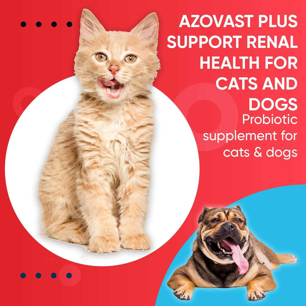 Kidney Health Supplement for Dogs & Cats O712