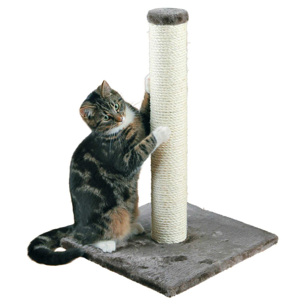 Scratching Post C3864
