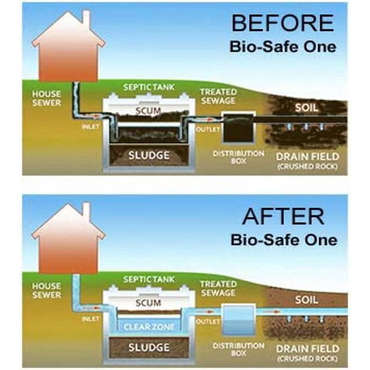 Bacterial Enzyme Based Septic Tank Treatment 22 Months R6250