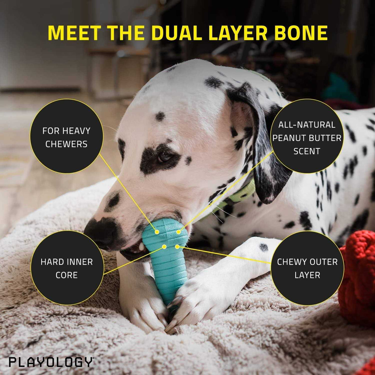 Peanut Butter Dual Layer Bone Dog Toy S5072