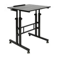 24" Mobile Stand Up Desk Adjustable Height Small Storage Desk with Wheels Black P4669