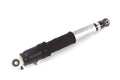 Rear Shock Absorber T31250