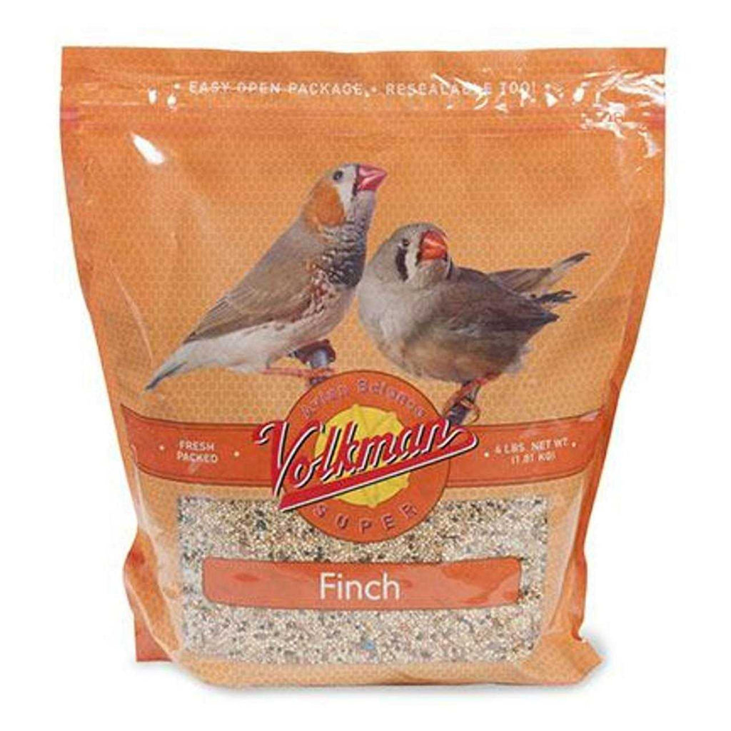 Finch Food B448997