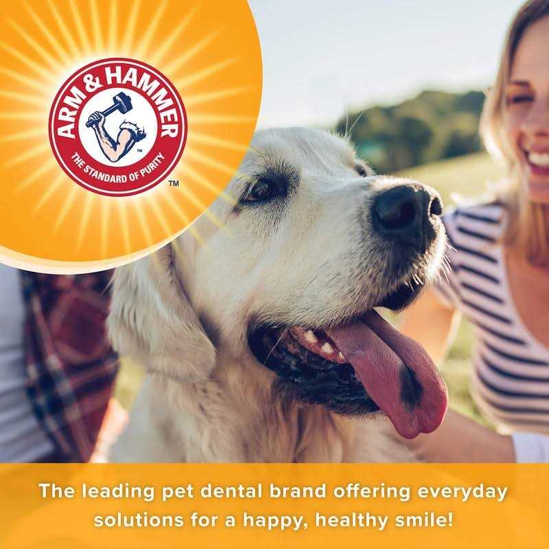 Dog Dental Mints U386