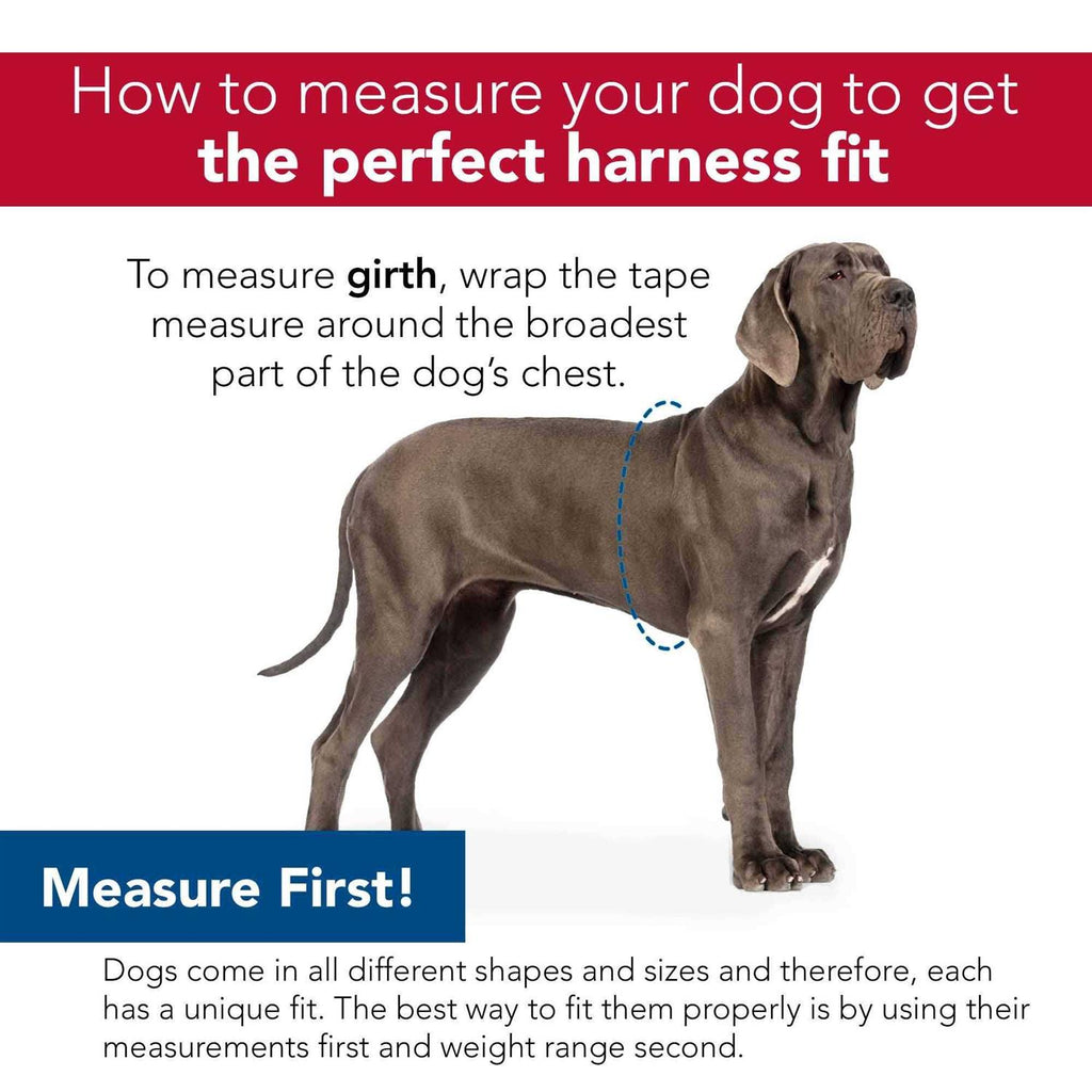 Canvas Dog Harness E2712