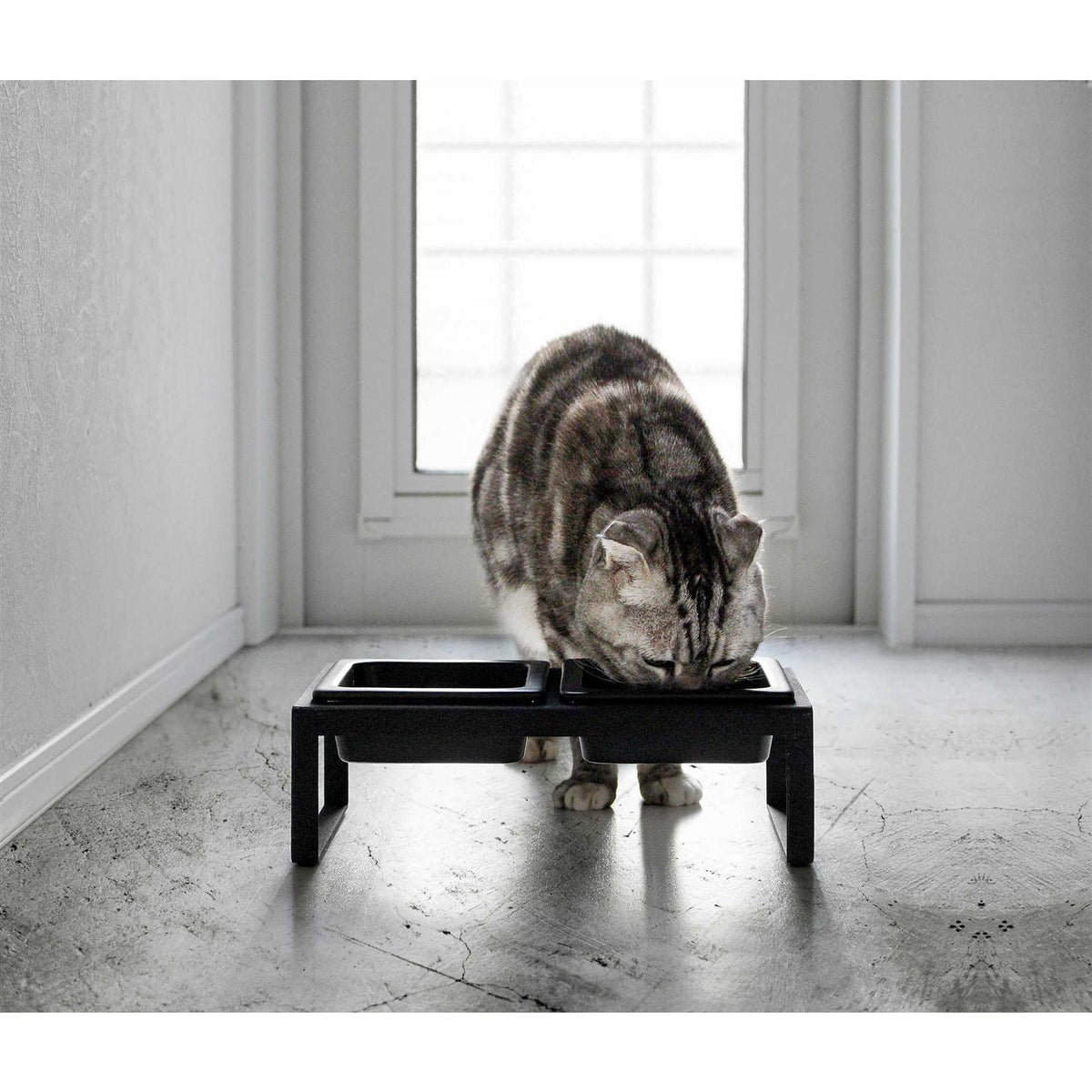 Pet Food Bowl S20674