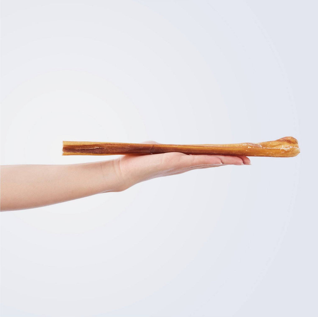 Jumbo Bully Stick Dog Treats, Case of 20 Z74989