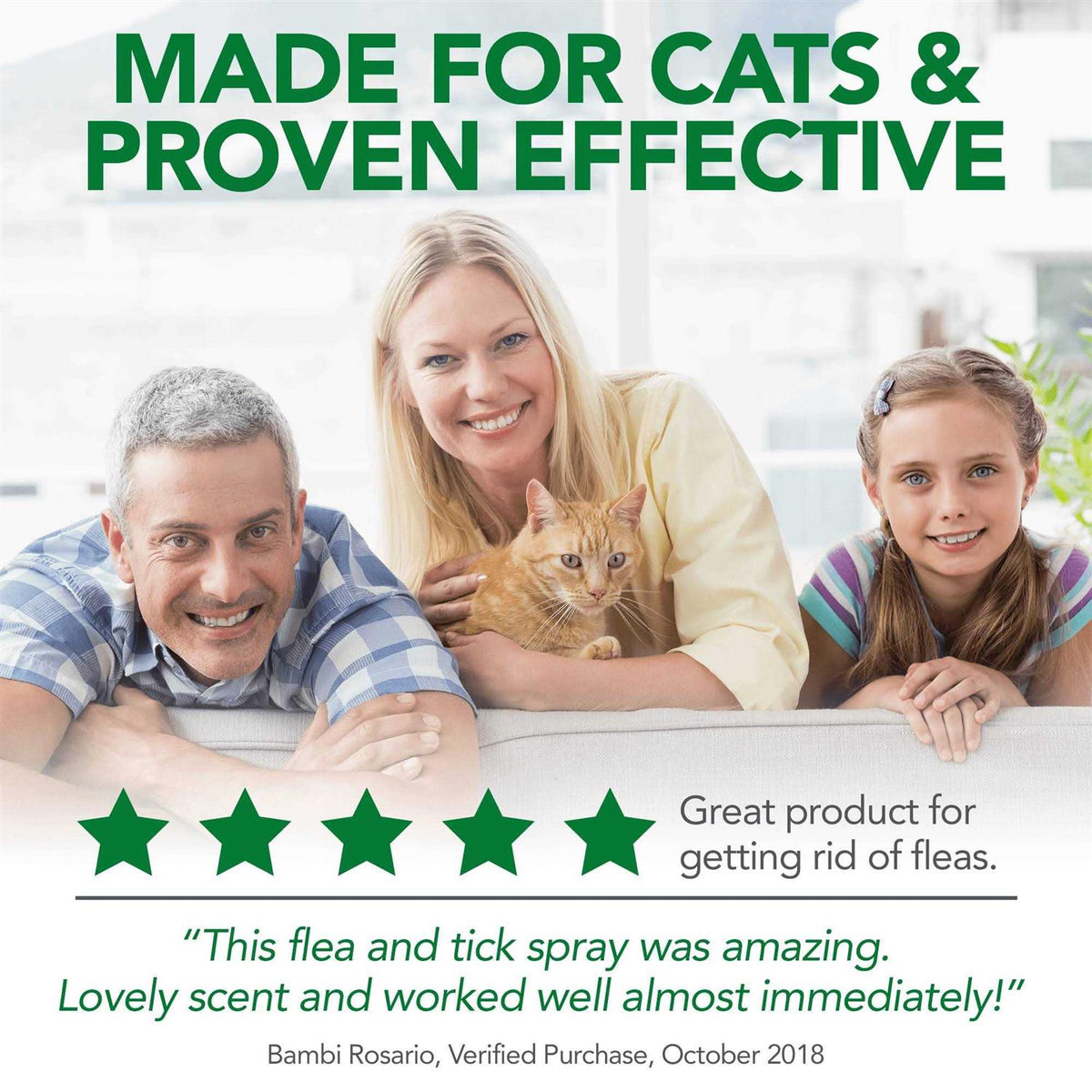 Flea Tick Home Spray G15376