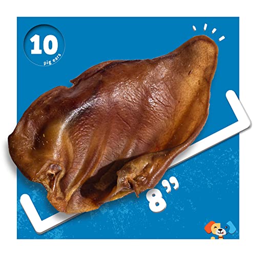 30 Pack Extra Thick Pig Ears Dog Treats K739340