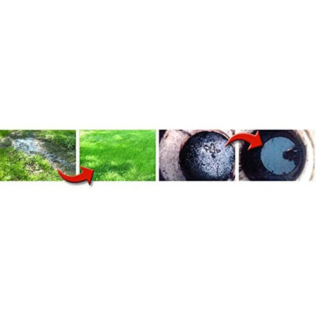 Bacterial Enzyme Based Septic Tank Treatment 22 Months R6250