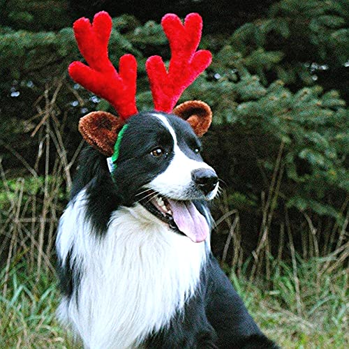 Christmas Reindeer Antlers with Ears for Large Dogs K911483