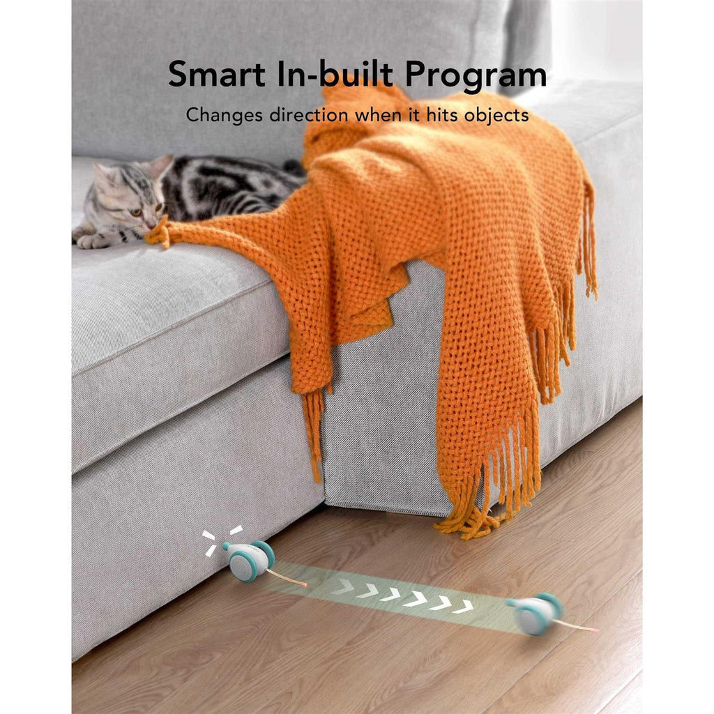 Interactive Cat Toys with LED Lights J403
