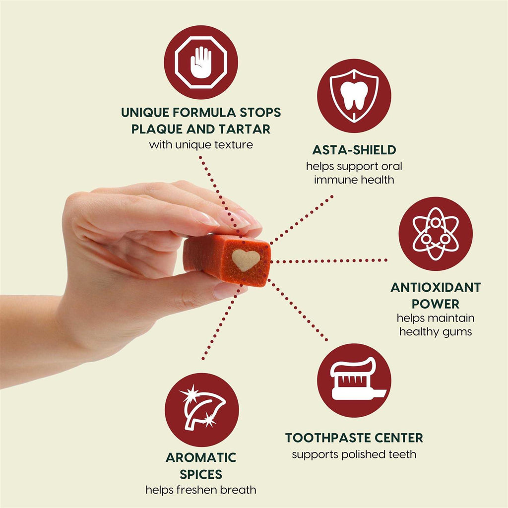 Brushless Toothpaste Dental Dog Chews W6301