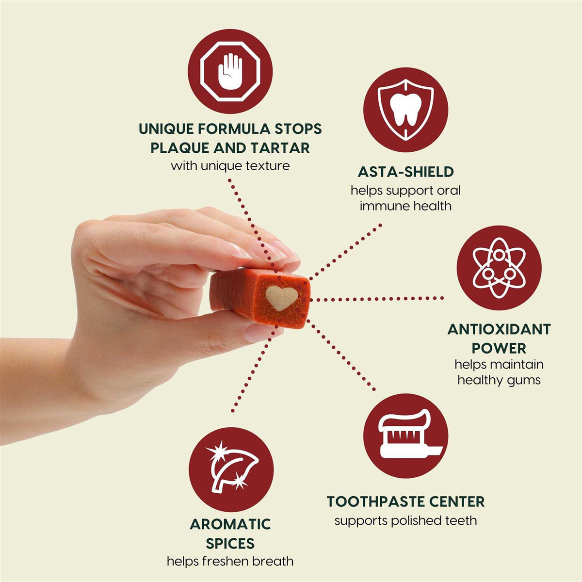 Brushless Toothpaste Dental Dog Chews W6301